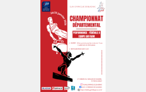 Championnat Départemental : Equipe Performance/Fédéral A GAF-GAM